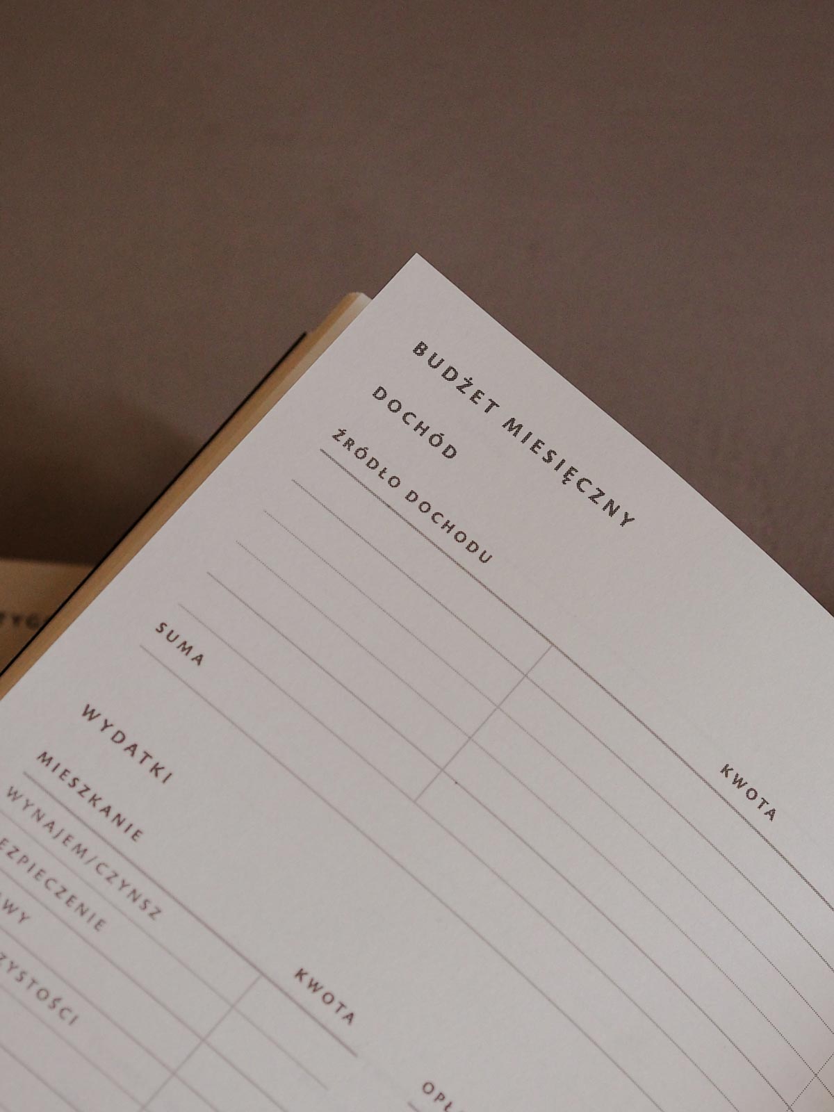 Jak kontrolować wydatki dzięki planerowi finansowemu?