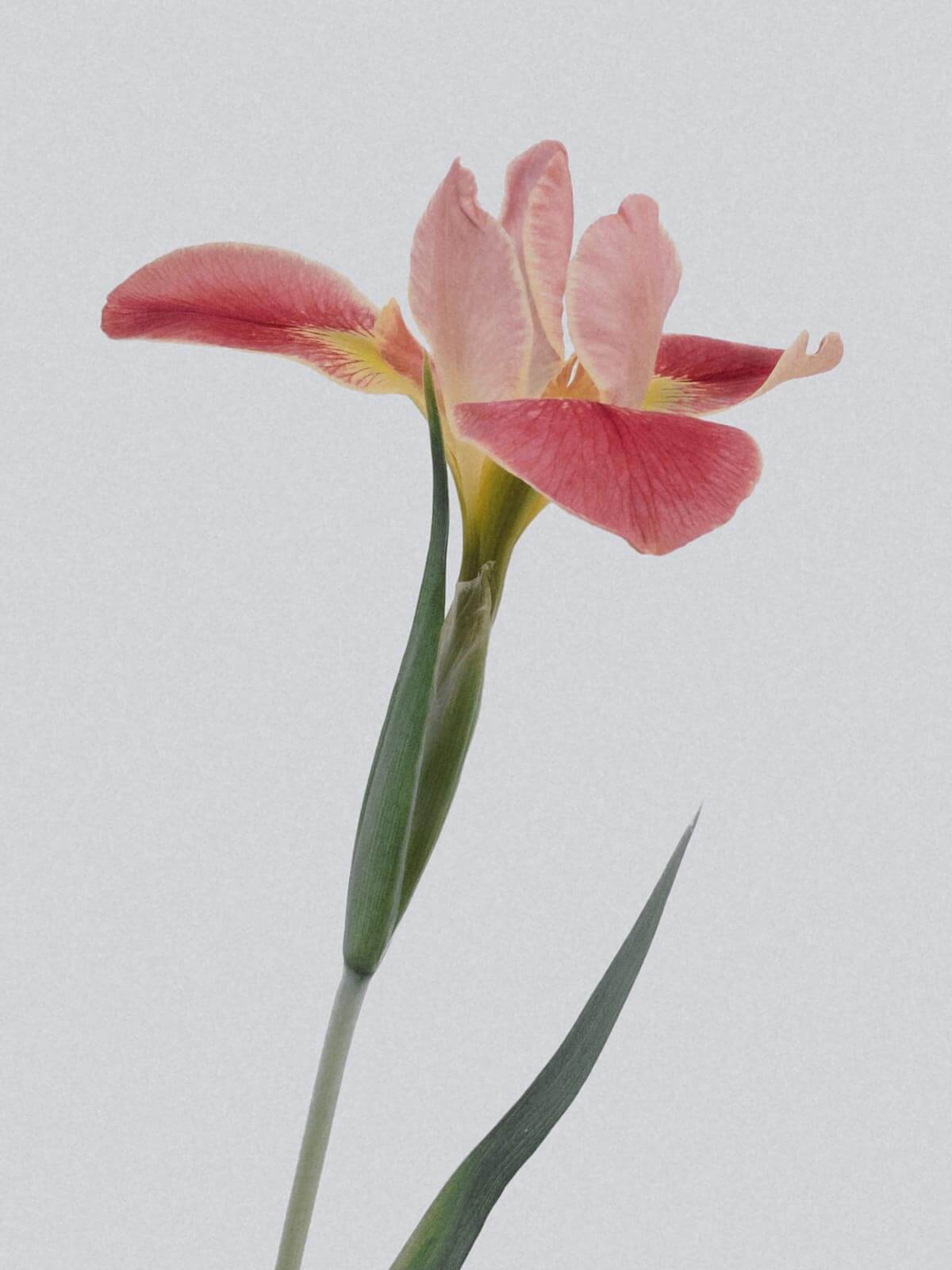 10 kroków do samorozwoju