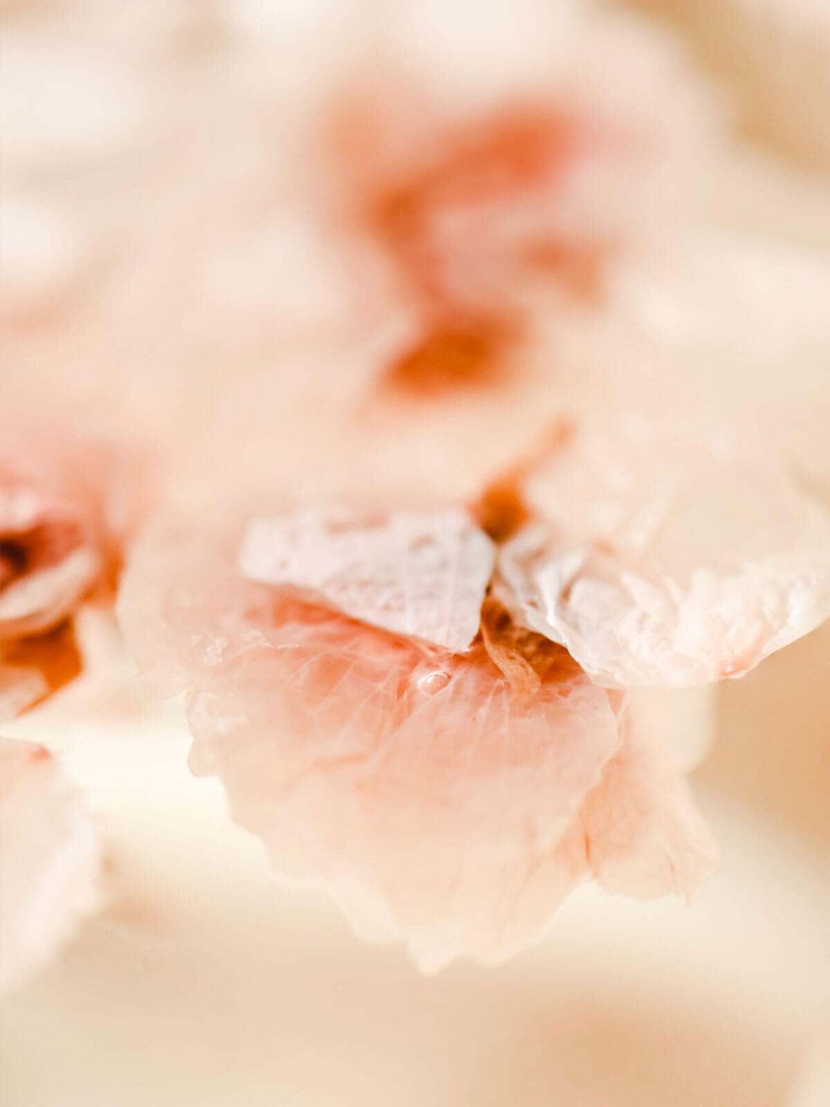 Jak wdzięczność może pomóc w radzeniu sobie ze stresem?