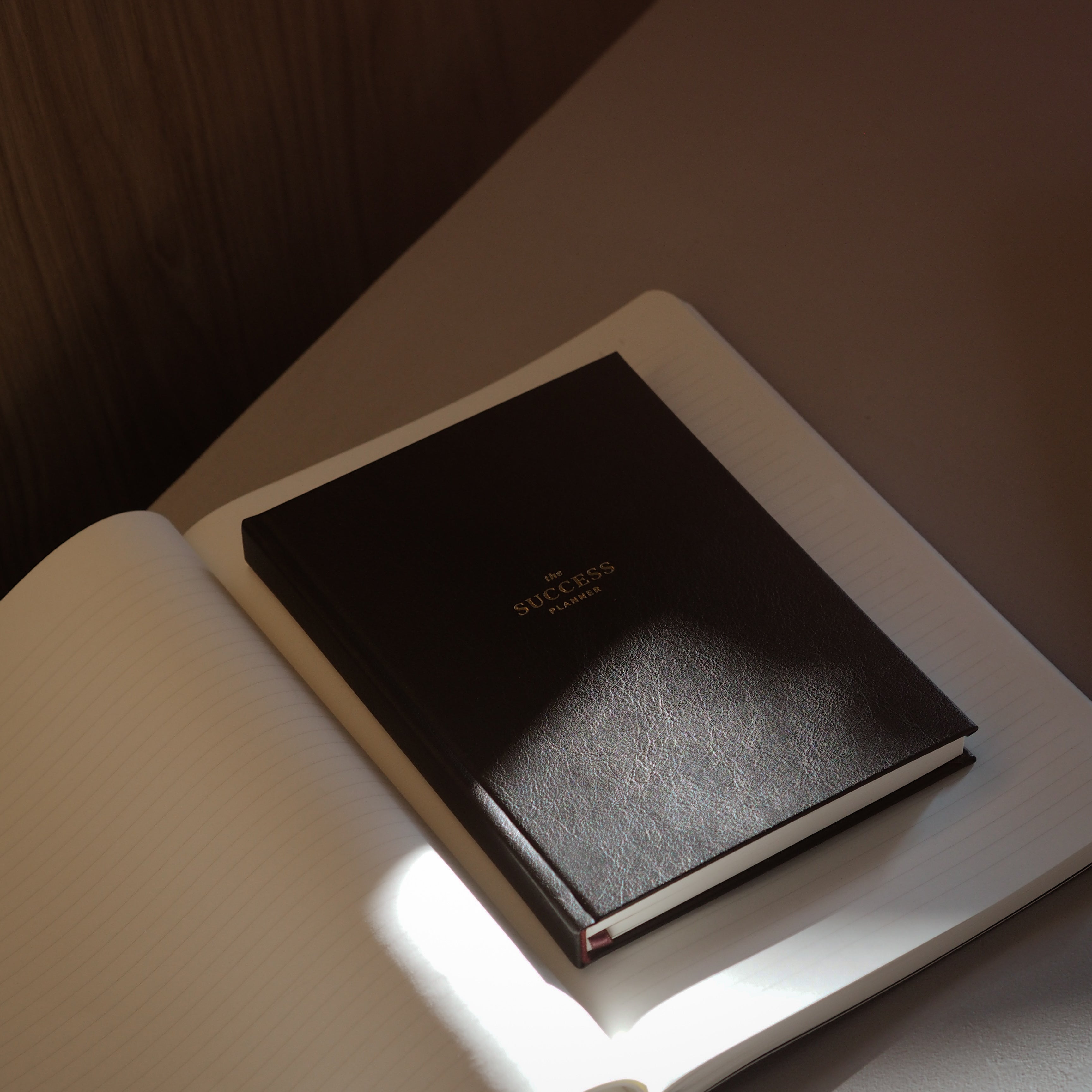 Planer produktywności