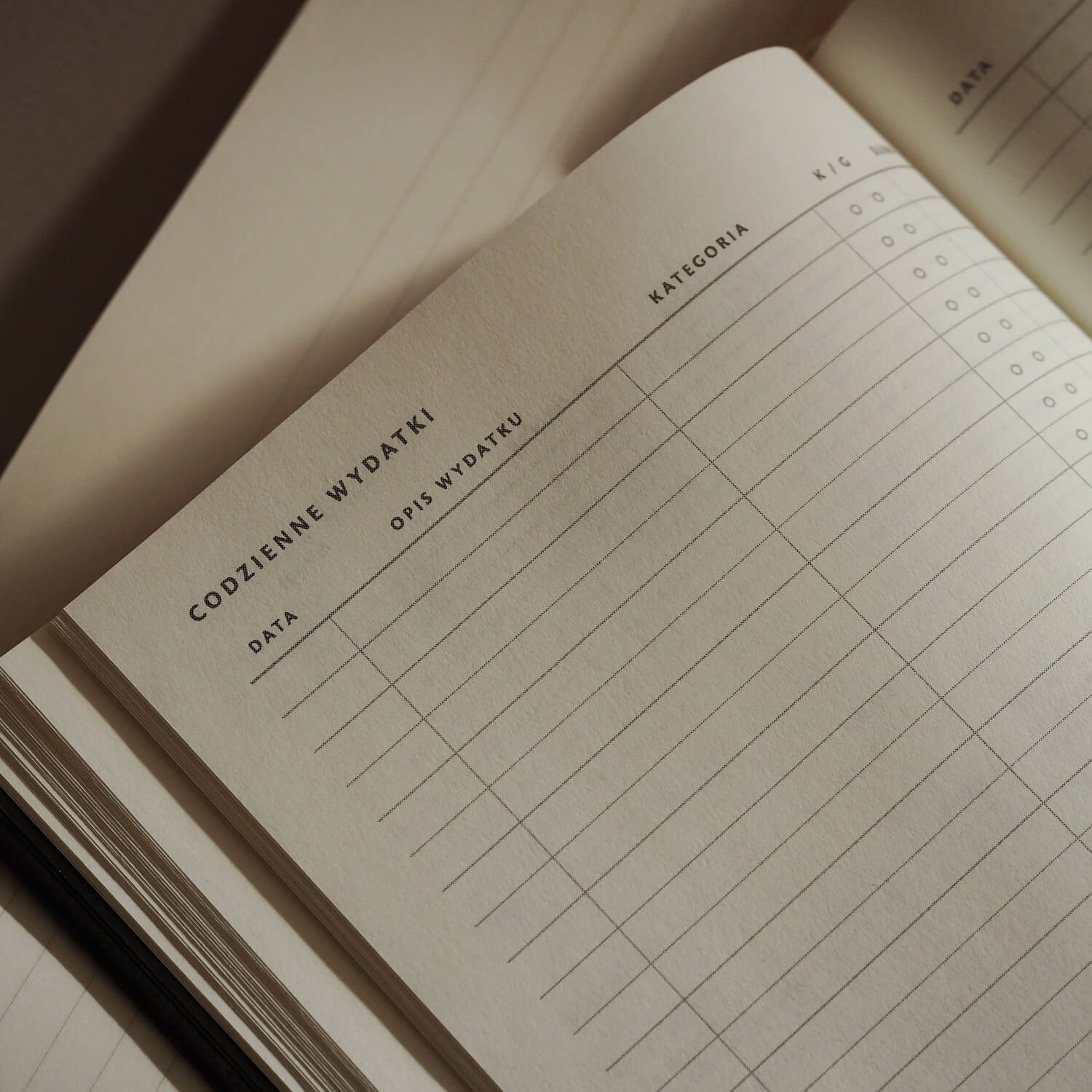 Codzienne wydatki w planerze finansowym - przejrzysta tabela do zapisywania bieżących kosztów i śledzenia kategorii