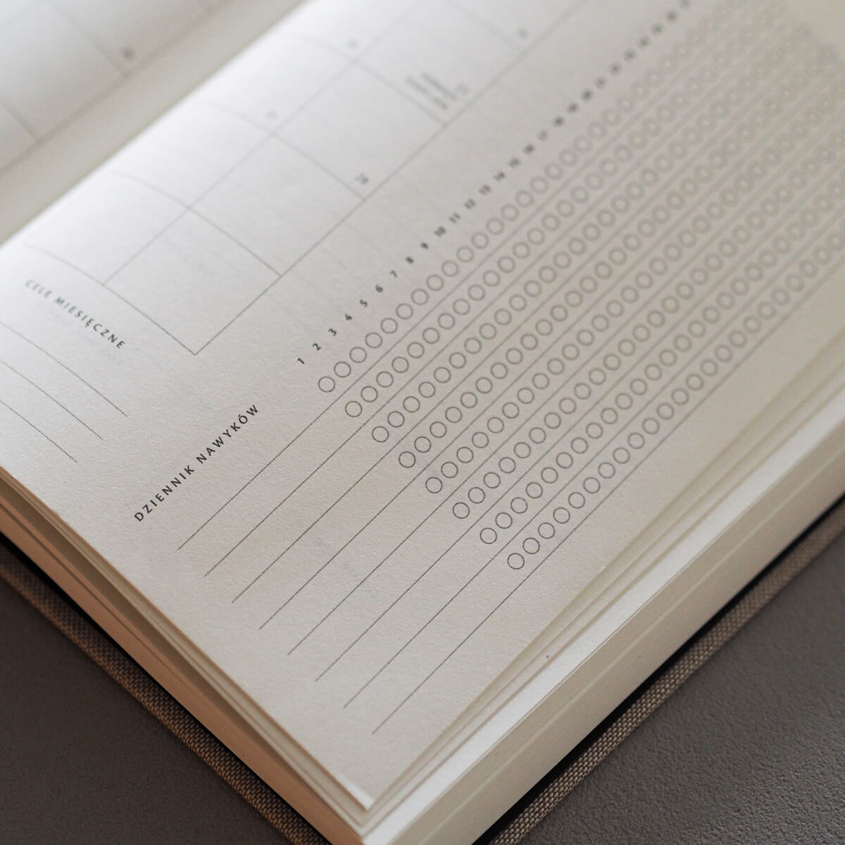 Kalendarz dzienny 2026 - RED VELVET