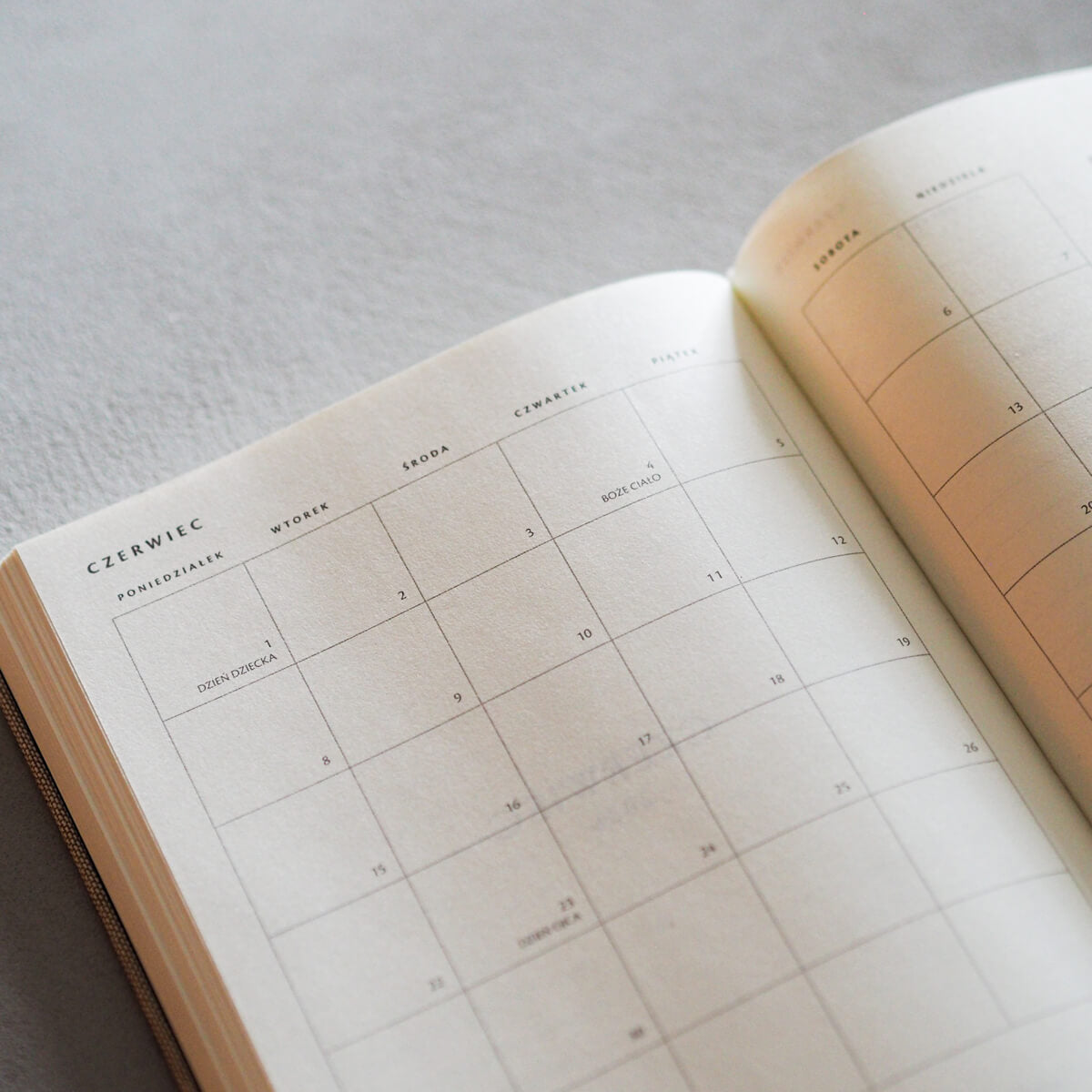 Kalendarz dzienny 2026 - RED VELVET