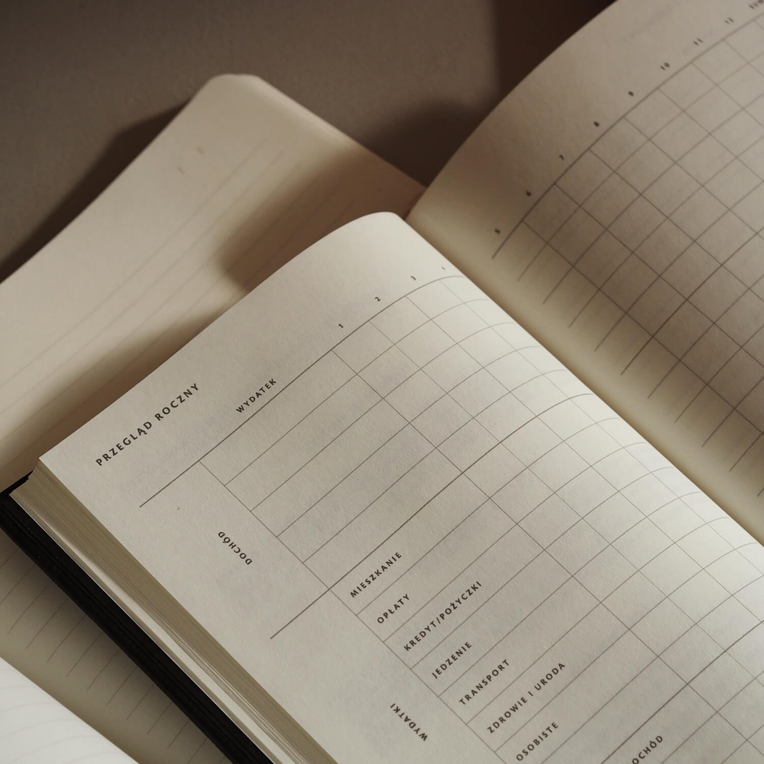 Przegląd roczny w planerze finansowym - arkusz do analizy wydatków i dochodów w podziale na kategorie, miesiące i cele