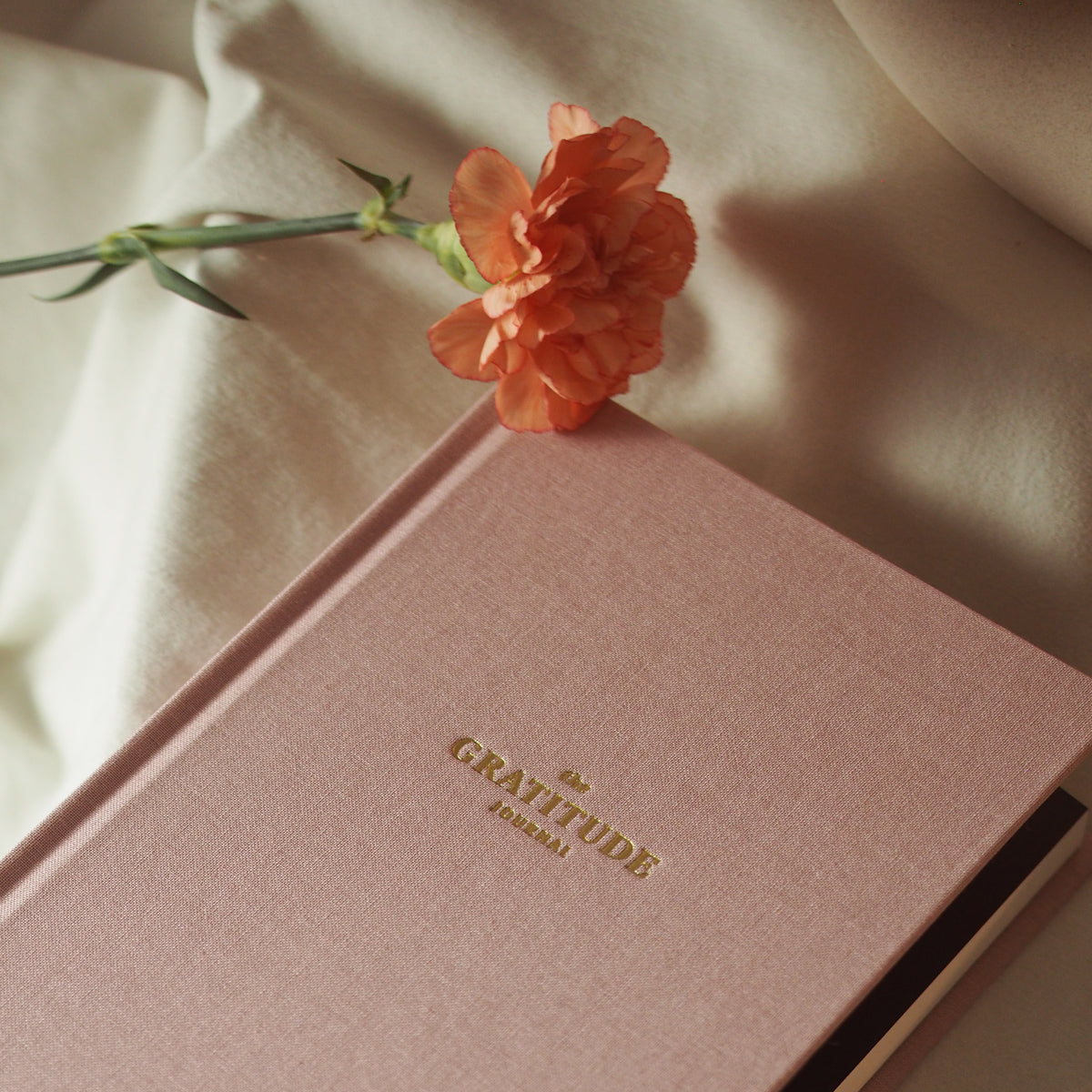 Dziennik wdzięczności różowy