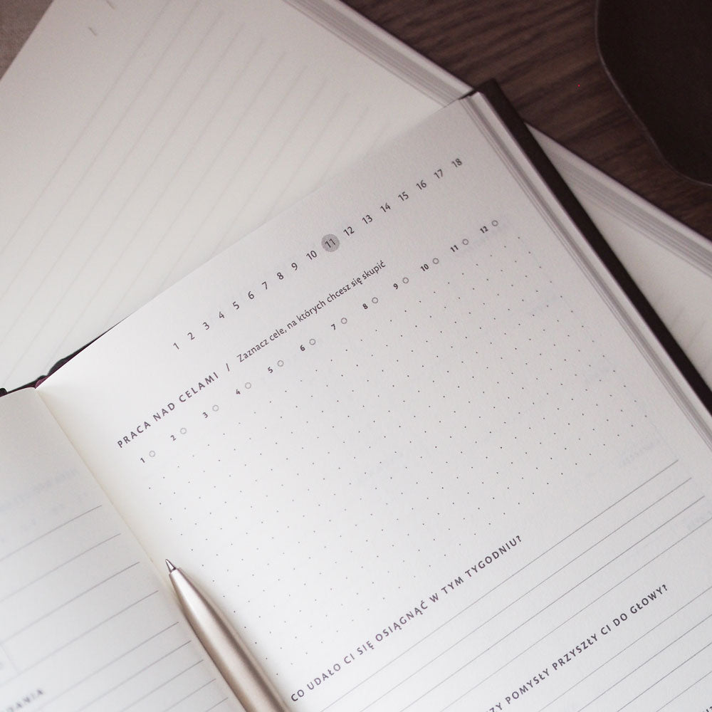 Planer produktywności Success Planner