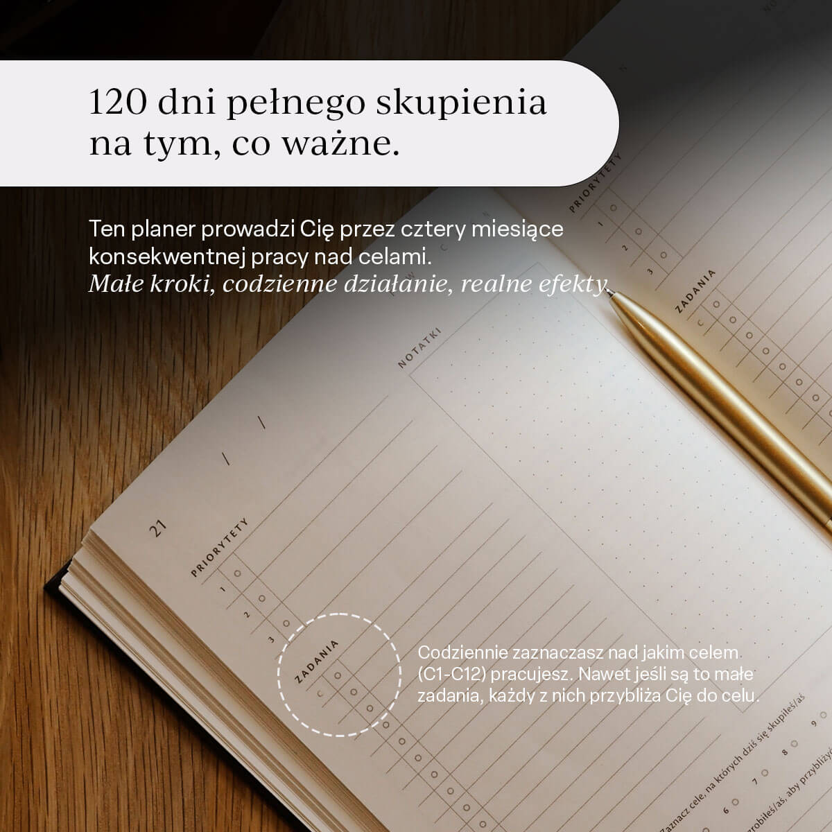 Planer produktywności SUCCESS PLANNER