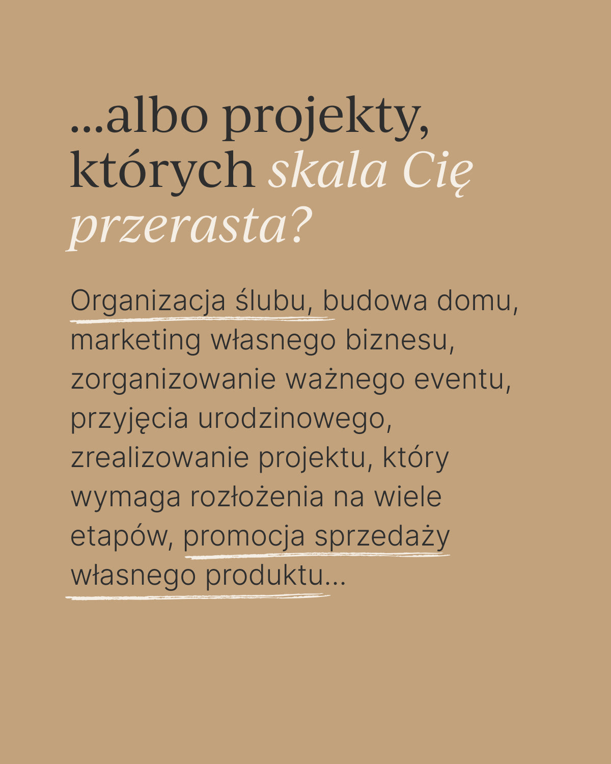 Planer produktywności SUCCESS PLANER