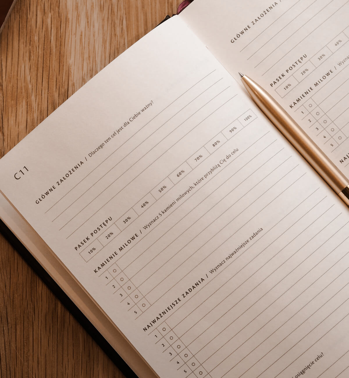 Planer produktywności Success Planner - najlepszy planer do osiągania celów